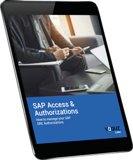 SAP Authorisations Whitepaper Image-1